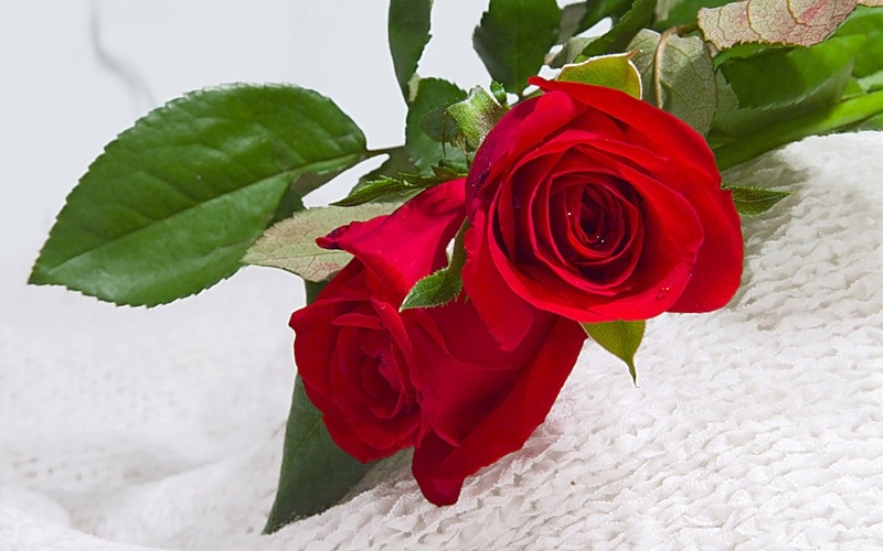 Букет красных роз Цветы на стеблях вязаные цветы