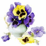 Random image: анютины глазки виолы вязаные цветы в горшке