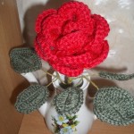 Random image: The branch of roses Ветка розы