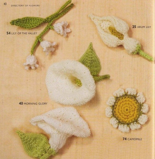 Цветы и плоды схемы из книги