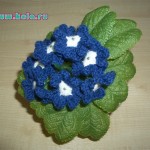 Random image: Вербена синяя Verbena Цветок в горшке