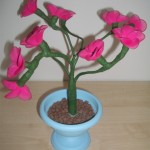Random image: Розовое дерево Бонсай