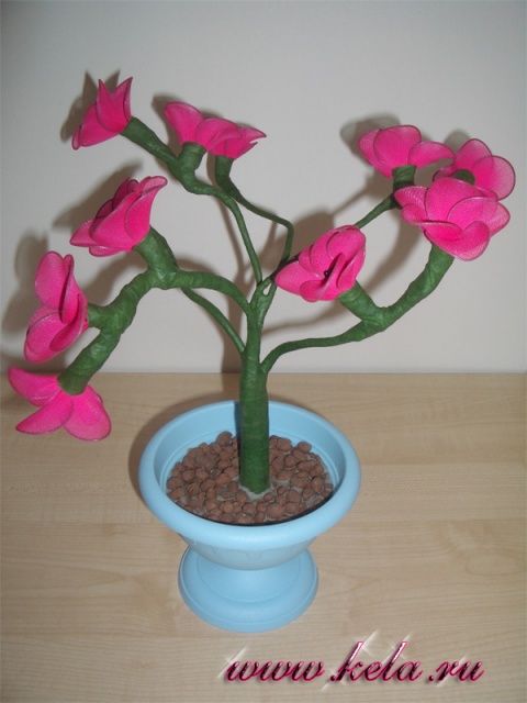 Розовое дерево Бонсай