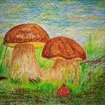 Random image: белые грибы,масляная пастель,рисунок