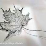 Random image: Наброски простым карандашом осенних листьев