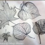 Random image: Наброски простым карандашом осенних листьев
