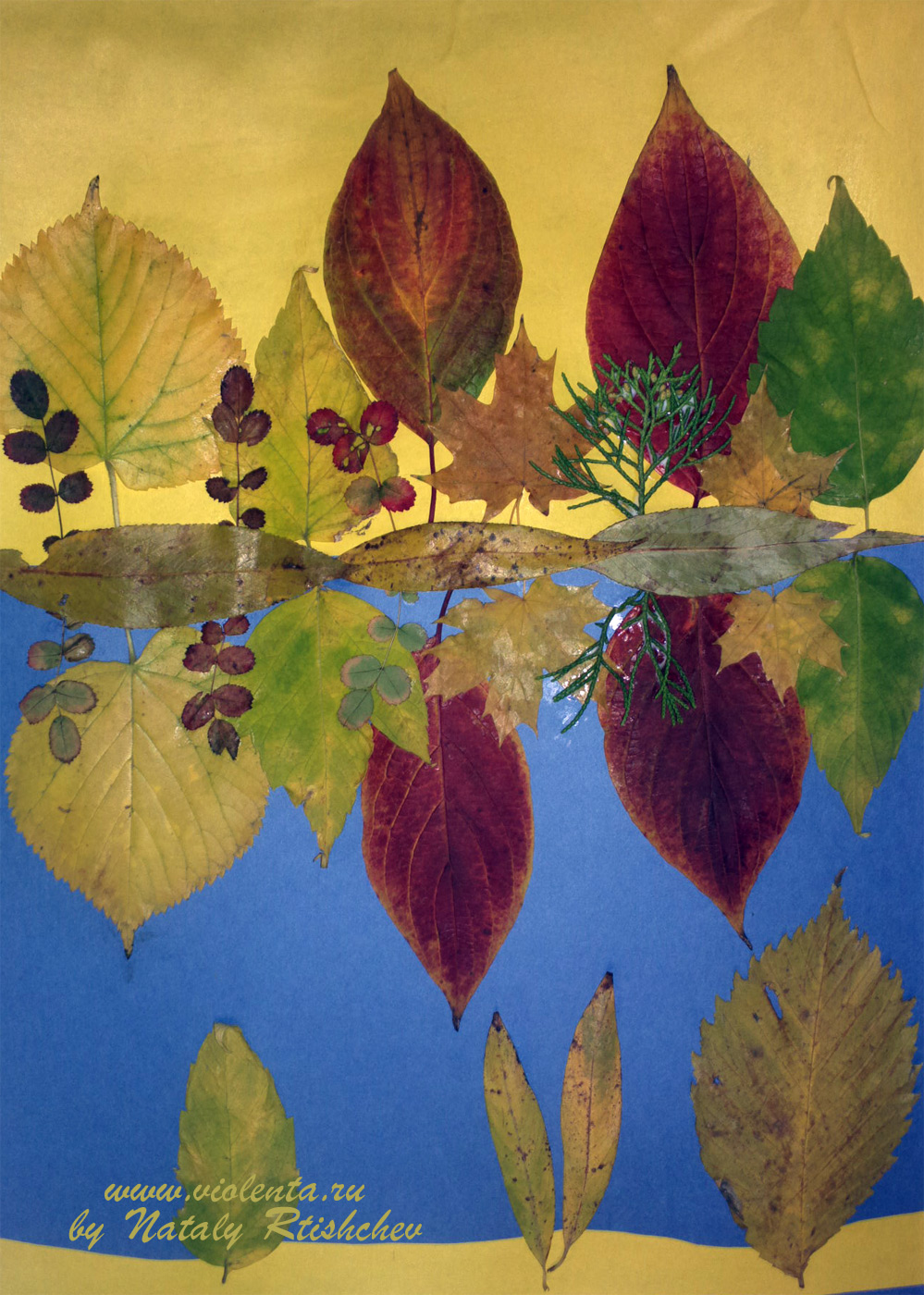 картина отражение из осенних листьев, аппликация, фитоживопись