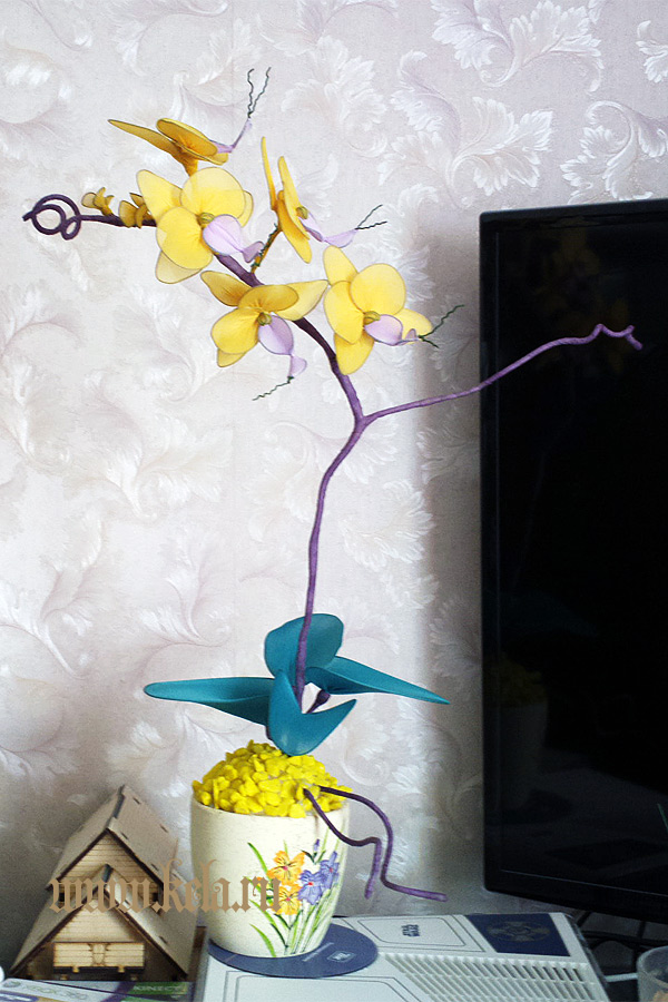 фаленопсис из капрона, орхидея