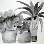 Random image: Коллекция ИЗО черно-белые