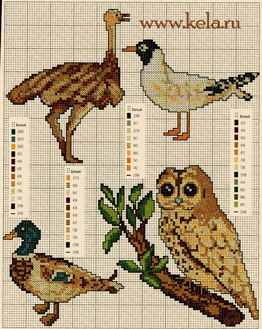 Схемы птицы