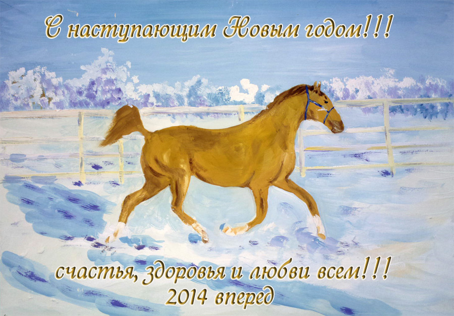 Поздравляю Вас с НОВЫМ 2014 ГОДОМ!