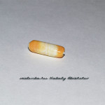 Random image: DSC_0909